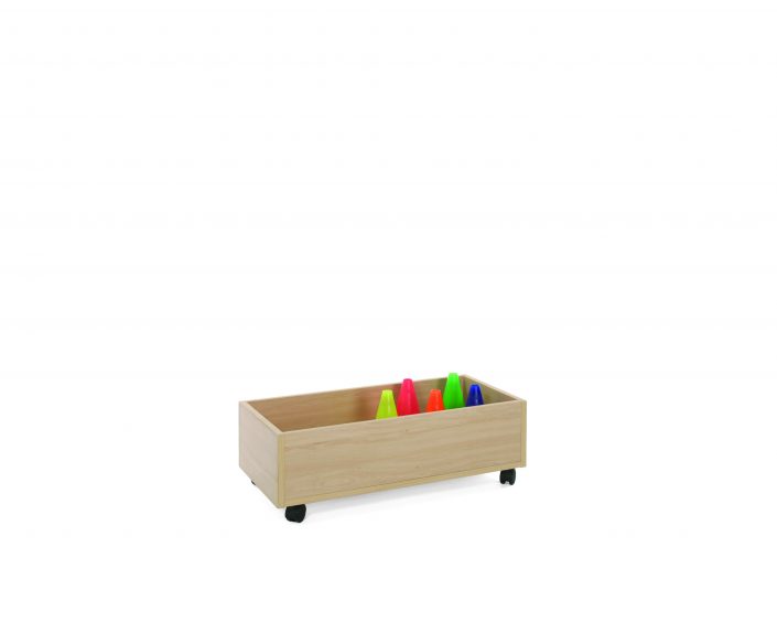 600907-Carro bajo