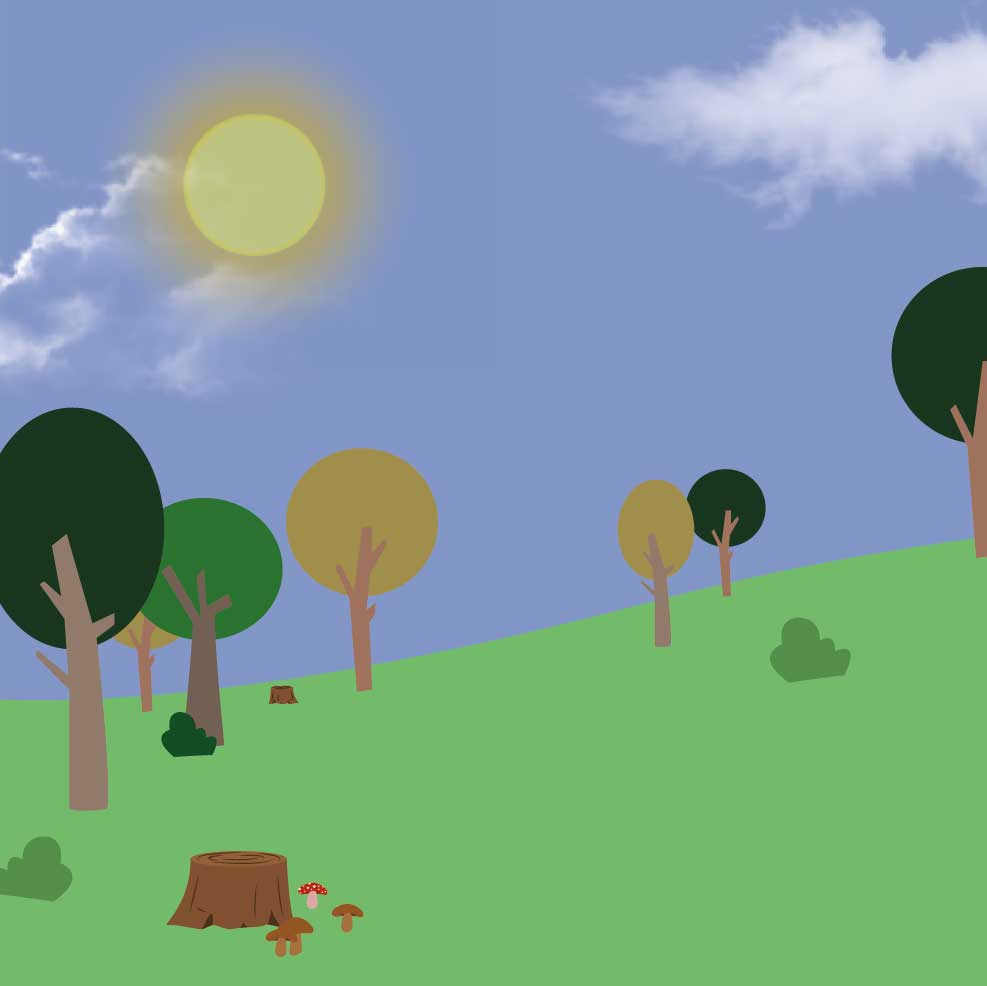 EL BOSQUE_DIA