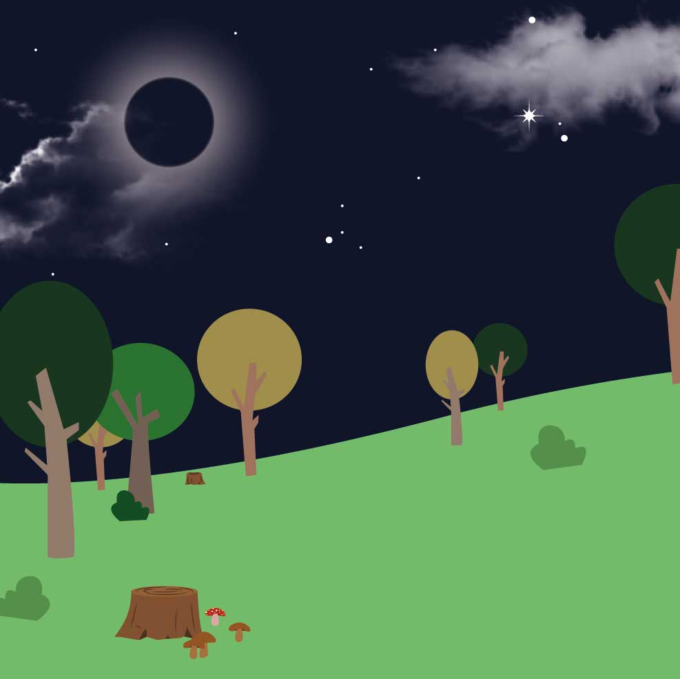 EL BOSQUE_NOCHE